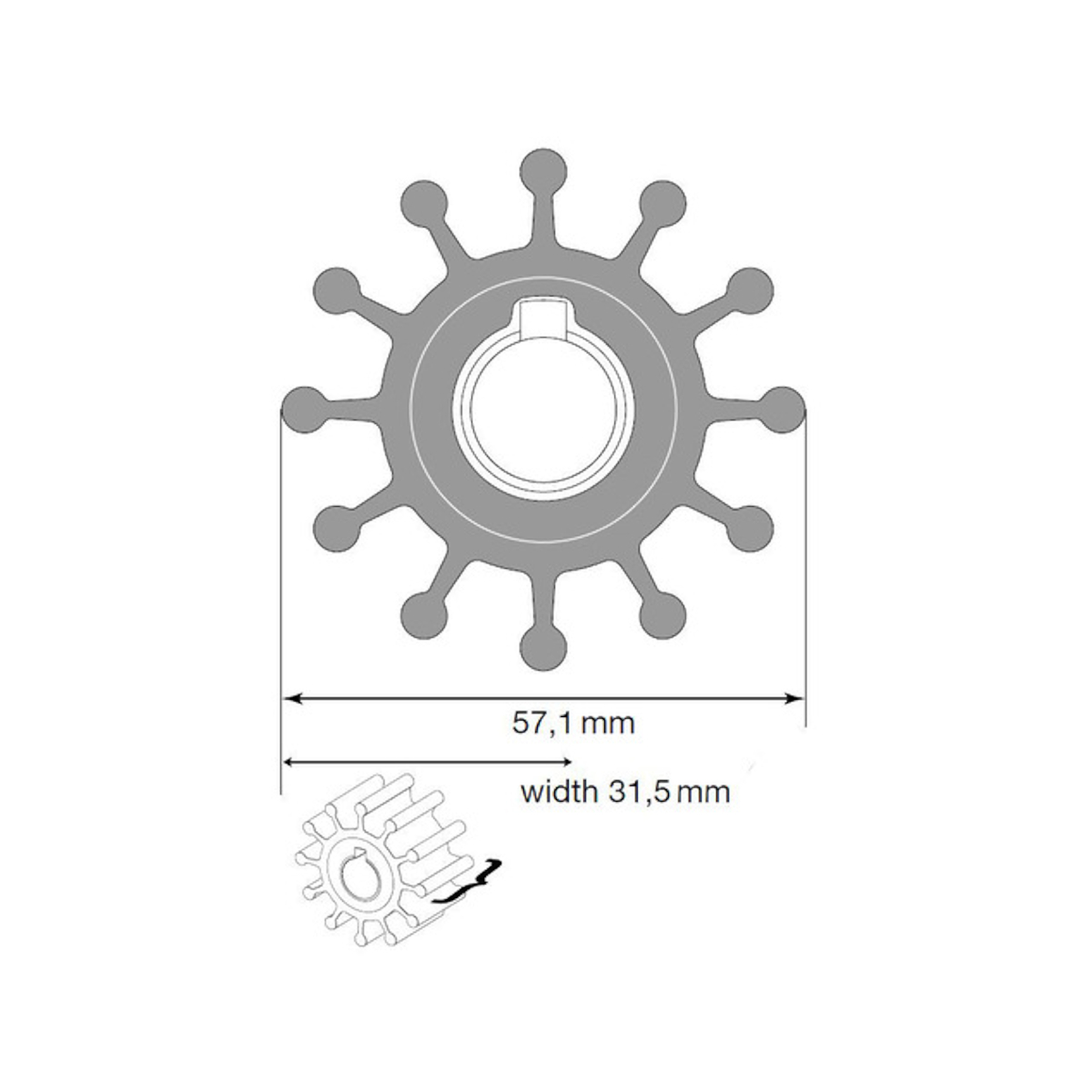 Johnson Impeller F5