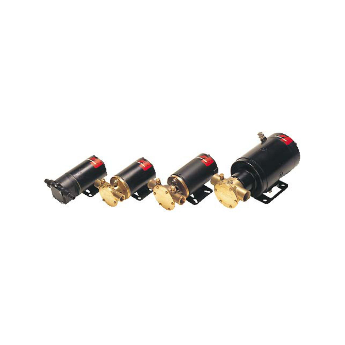 Johnson F2P10-19, 12V