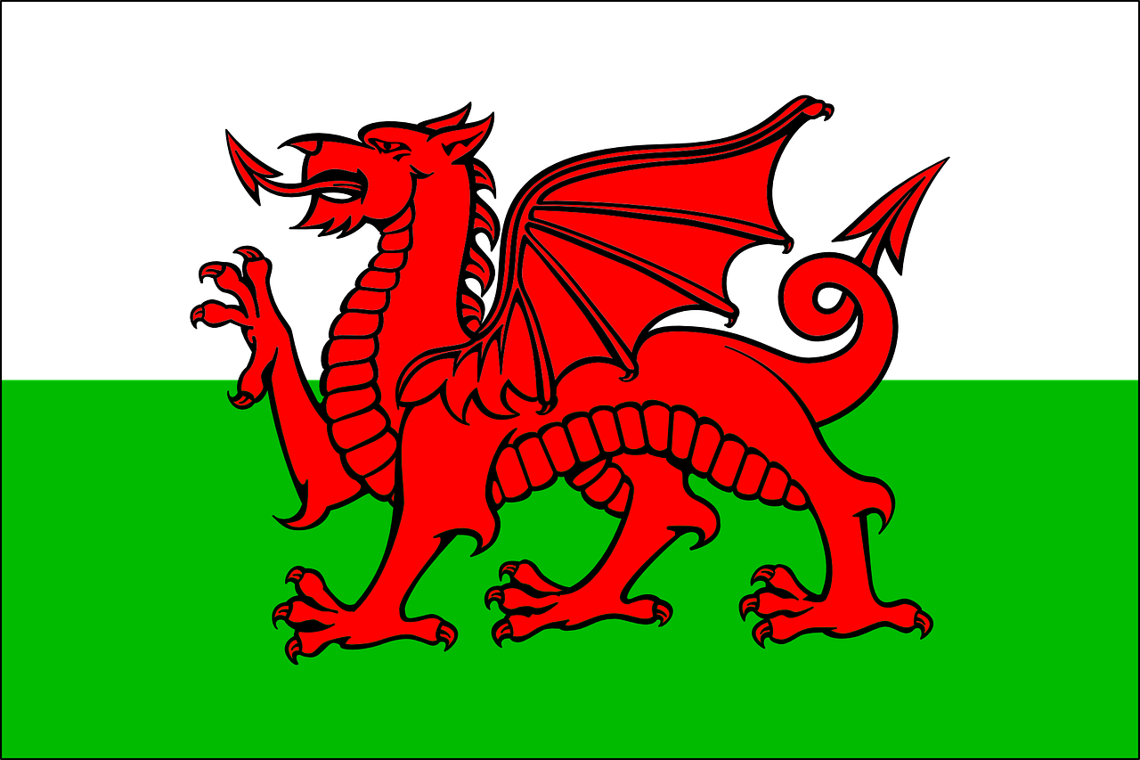 Plastimo Courtesy Vaandel - Wales Cm 20 X 30